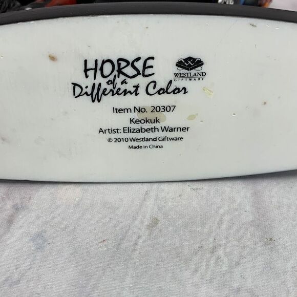 Horse of A Different Color "Keokuk"  04994/10000 Collectible Model Horse - Picture 14 of 14
